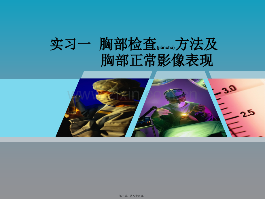 第三章呼吸系统实习.ppt_第3页