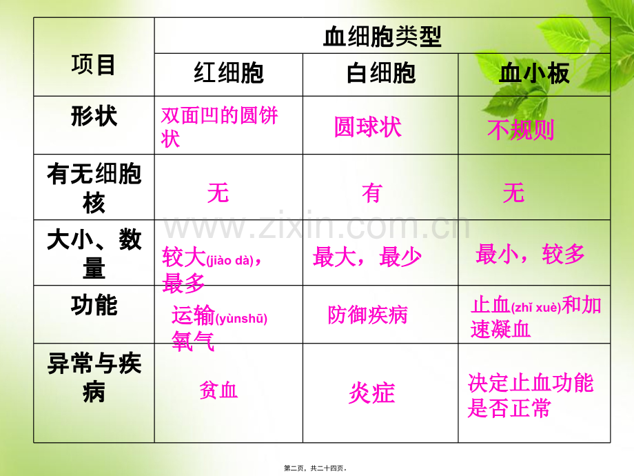 第三章第一节输血与血型剖析.ppt_第2页