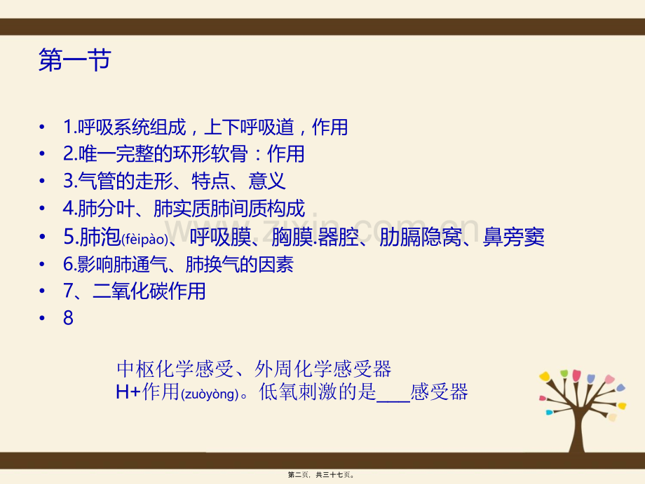 学术讨论—第二章---呼吸系统.ppt_第2页