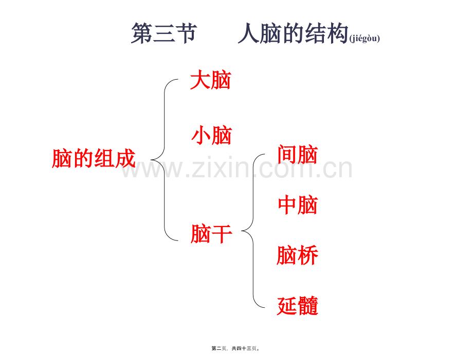 第三节人脑的结构与功能.ppt_第2页