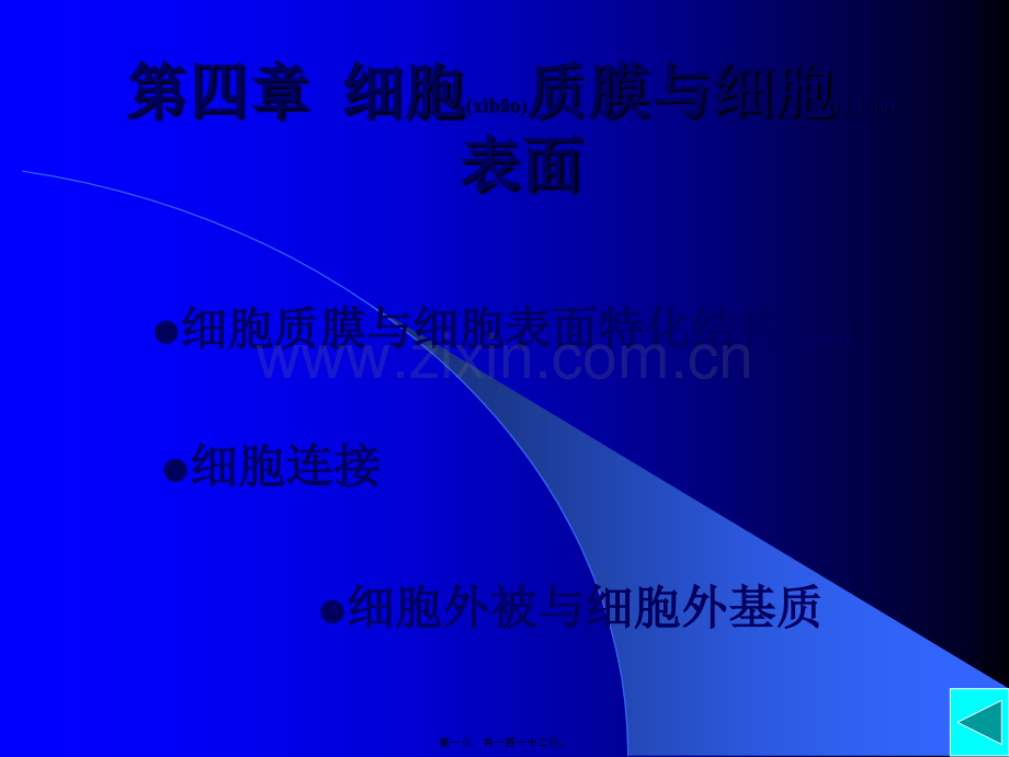 第四章--细胞质膜与细胞表面.ppt_第1页