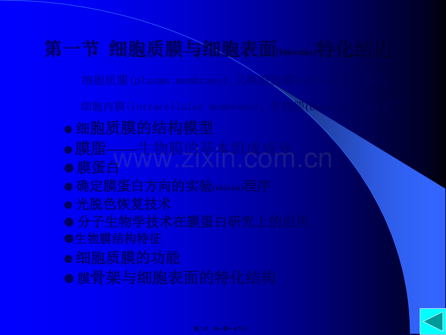 第四章--细胞质膜与细胞表面.ppt_第2页