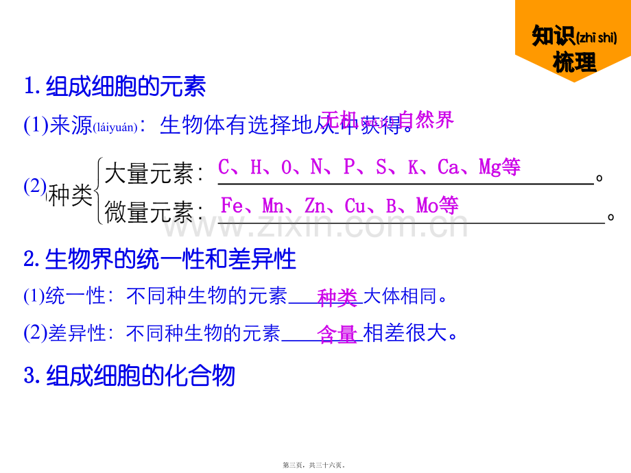 第二章组成细胞的分子复习.ppt_第3页