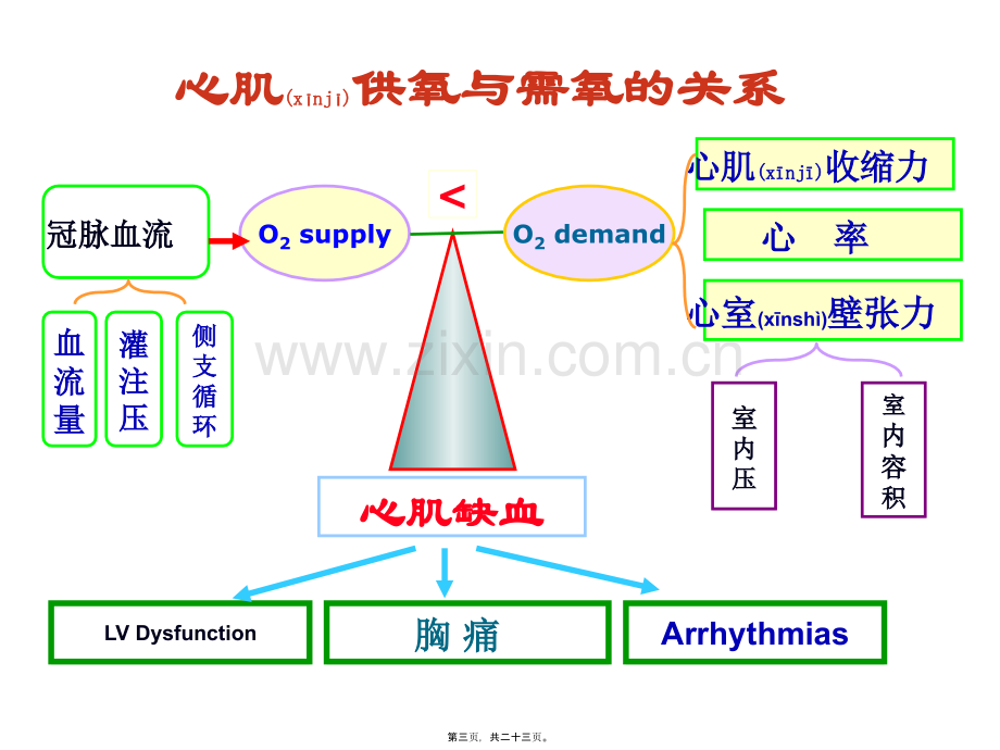 第十五章-抗心绞痛药.ppt_第3页