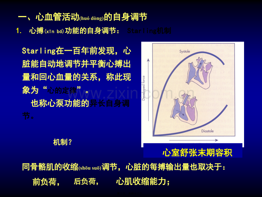 学术讨论—第五篇心血管活动调节.ppt_第2页