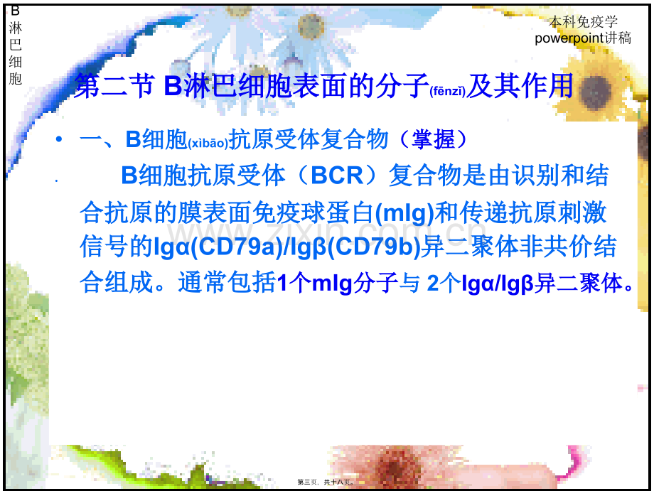 学术讨论—第九章-B淋巴细胞2009.01.ppt_第3页