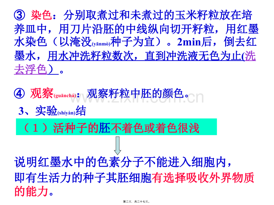 第二节细胞膜及细胞壁.ppt_第2页