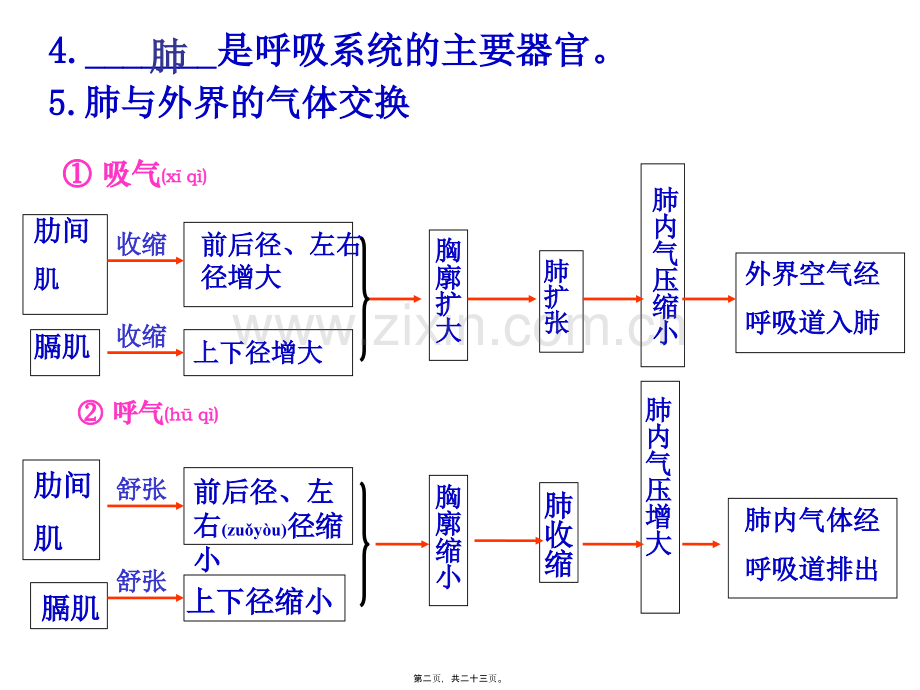 第二节发生在肺内的气体交换2.ppt_第2页