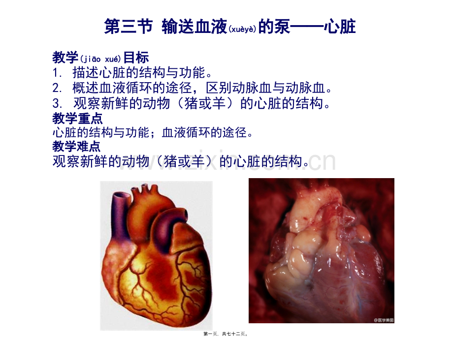 第三节-输送血液的泵.ppt_第1页