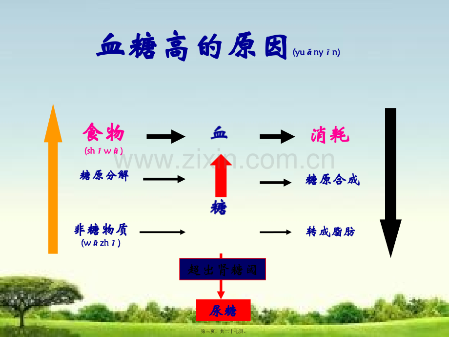 学术讨论—糖尿病运动.ppt_第3页