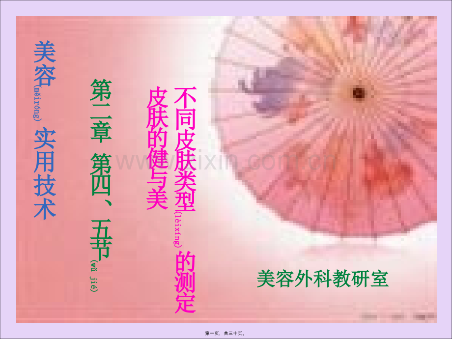 第二章-皮肤基本知识-第四、五节..ppt_第1页