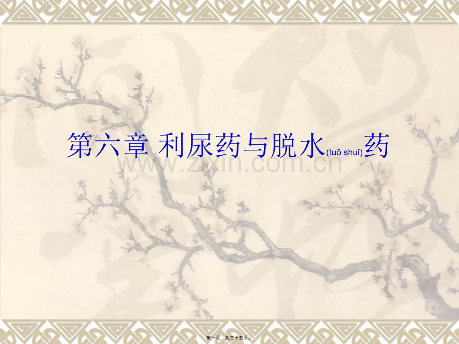 学术讨论—第六章-利尿药与脱水药.ppt_第1页