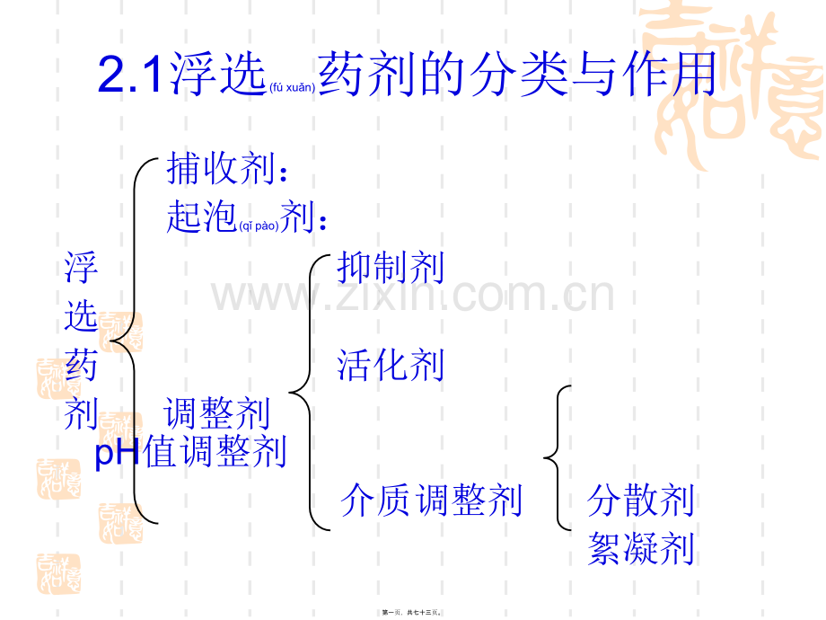 第二章-浮选药剂及其作用原理资料.ppt_第1页