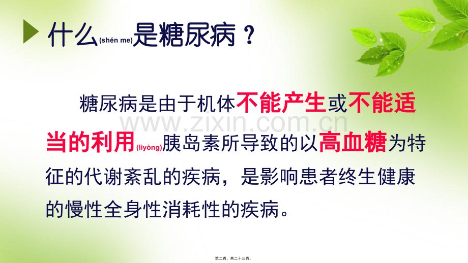 糖尿病营养宣教.ppt_第2页