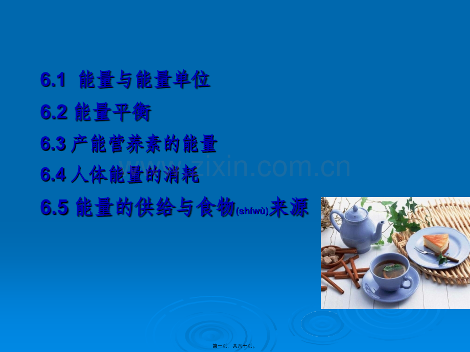 学术讨论—第六章-营养与能量平衡.ppt_第1页