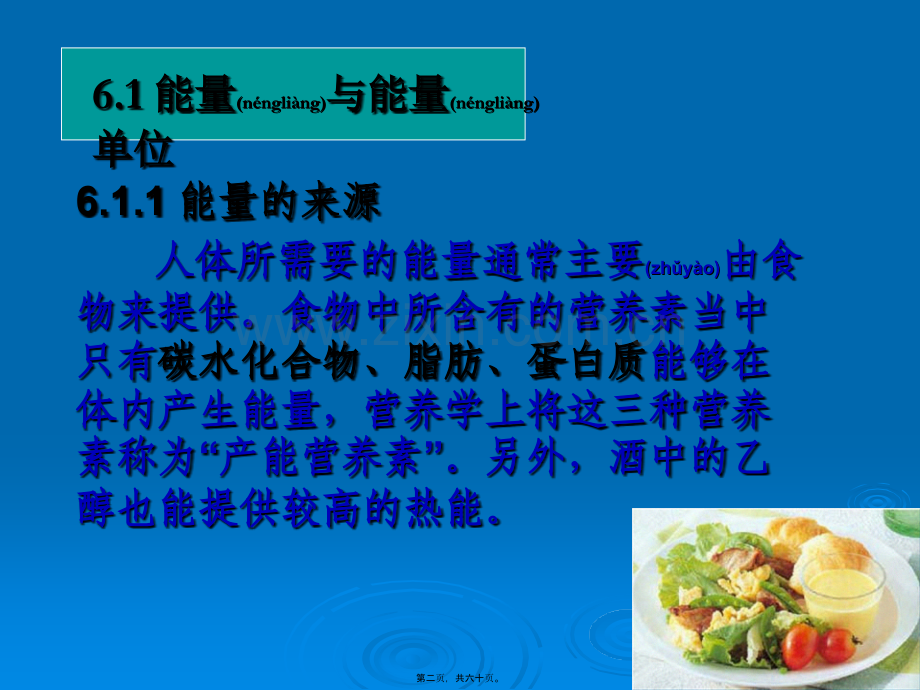 学术讨论—第六章-营养与能量平衡.ppt_第2页