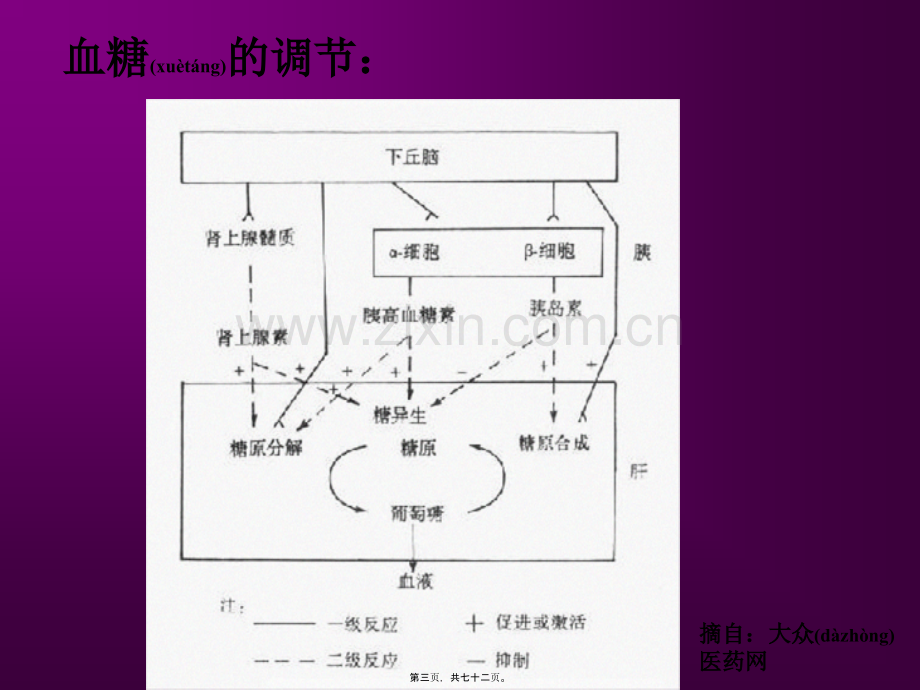 糖尿病营养与膳食.ppt_第3页