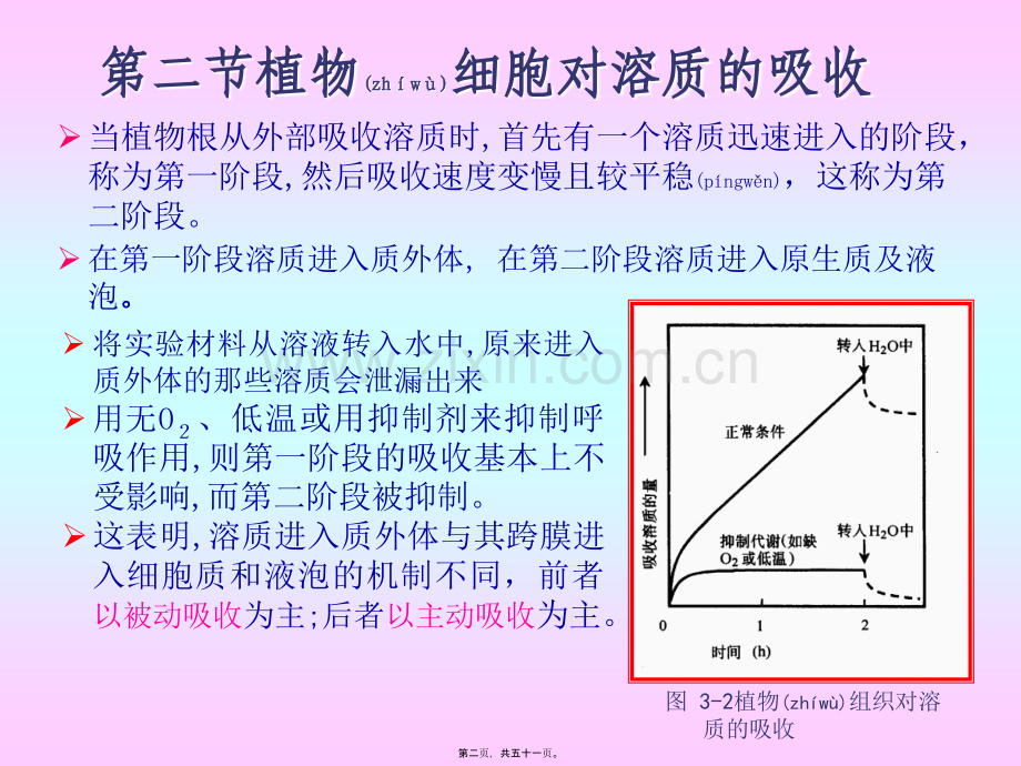 第三章-植物的矿质与氮素营养.ppt_第2页