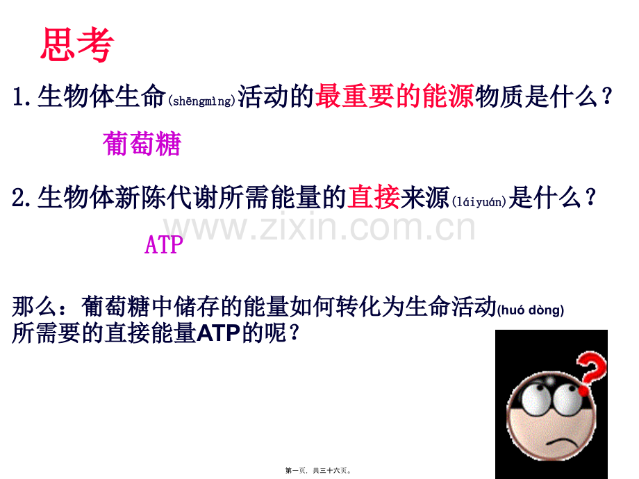 第三章第四节细胞呼吸.ppt_第1页