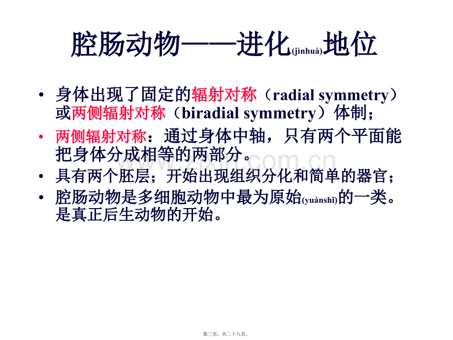 学术讨论—第五篇--腔肠动物门.ppt_第3页