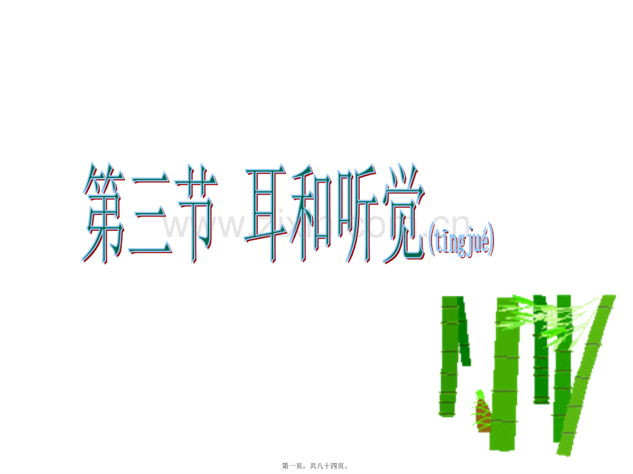 第三节耳和听觉.ppt_第1页