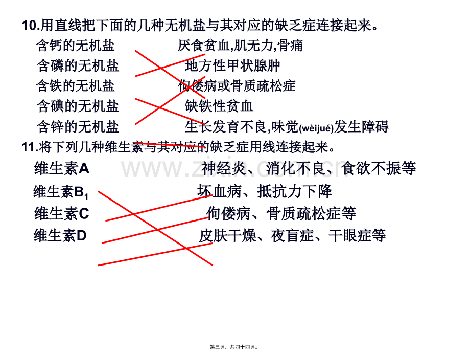 第二节--消化和吸收.ppt_第3页