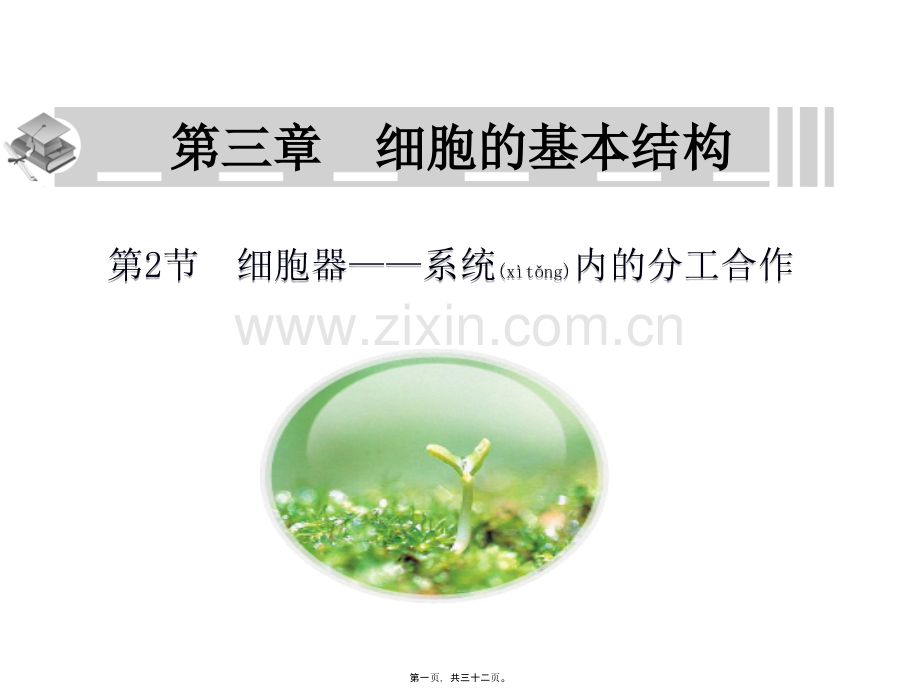 第三章：第二节--细胞器——系统内的分工合作(1).ppt_第1页