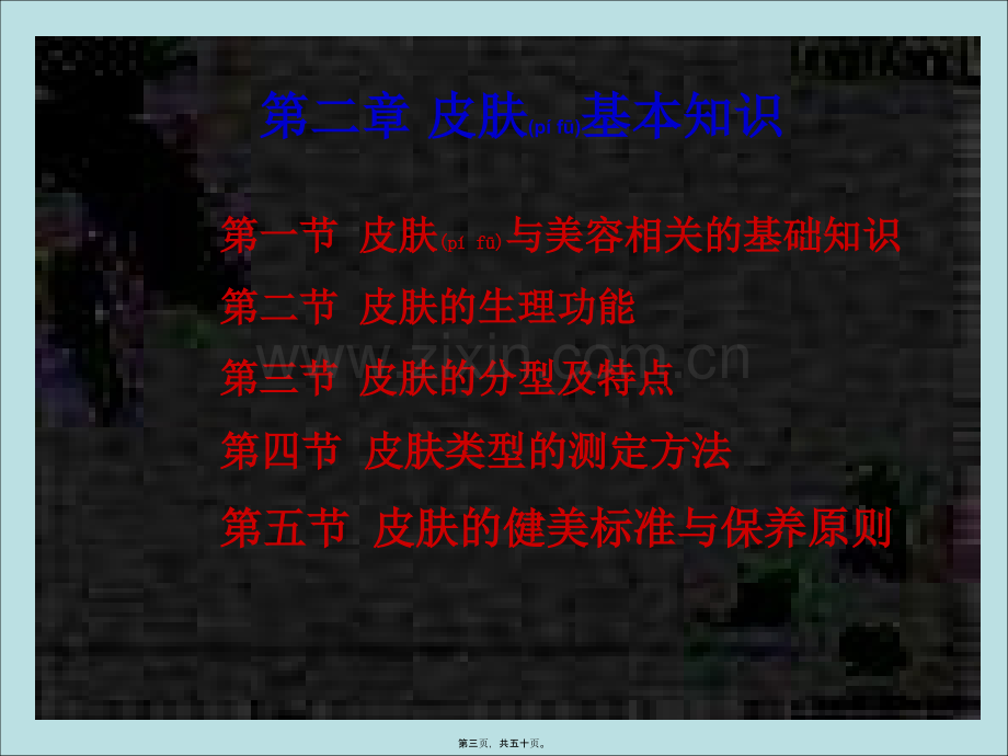 学术讨论—第二章-皮肤基本知识-第一节.ppt_第3页