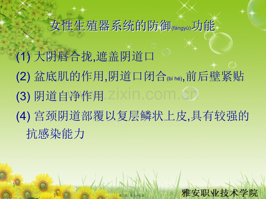 第二十章女性生殖系统炎症.ppt_第2页