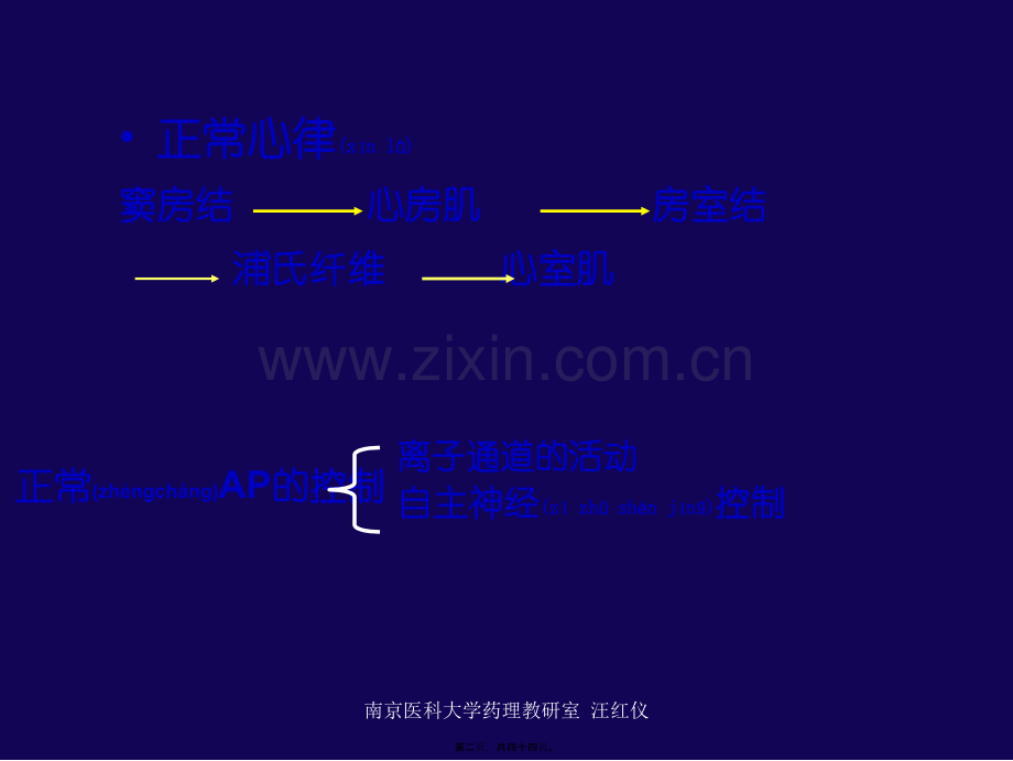 第二十二篇-抗心律失常药.ppt_第2页