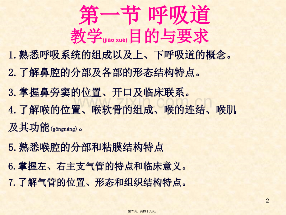 第六章呼吸系统(新).ppt_第2页