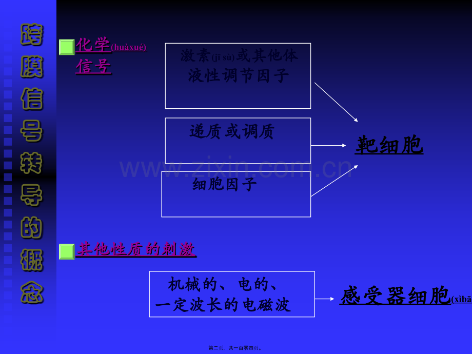 第二章细胞的基本功能13.ppt_第2页