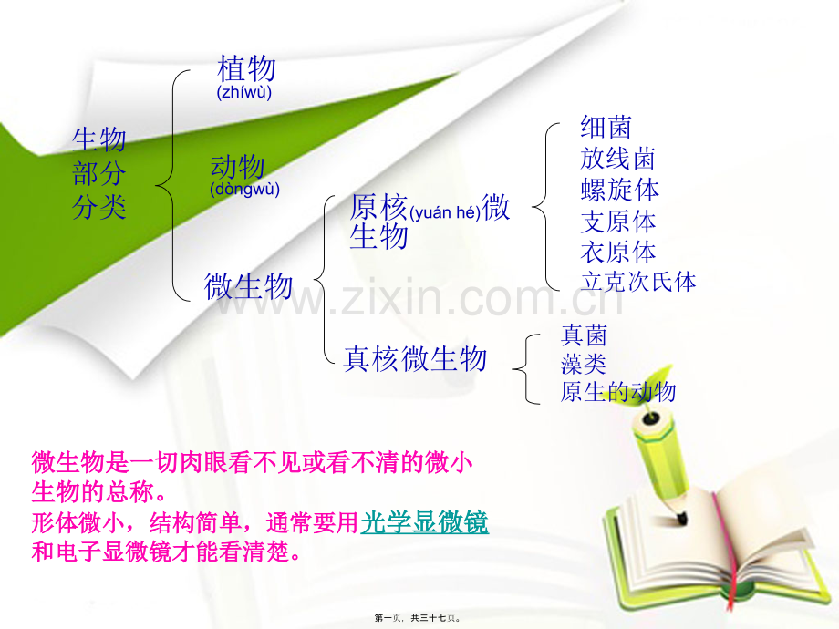 学术讨论—第四章第一节分布广泛的细菌和真菌.ppt_第1页