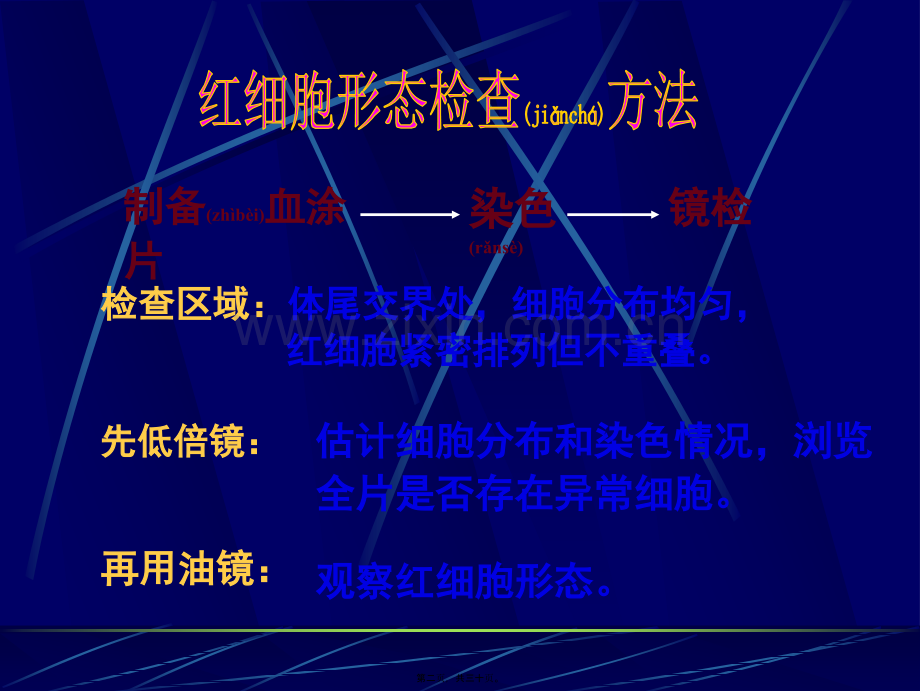 学术讨论—红细胞形态压积网红.ppt_第2页