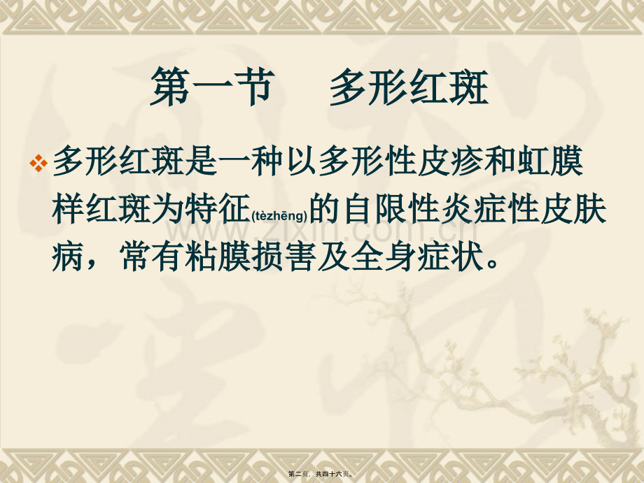 红斑丘疹性皮肤病.ppt_第2页