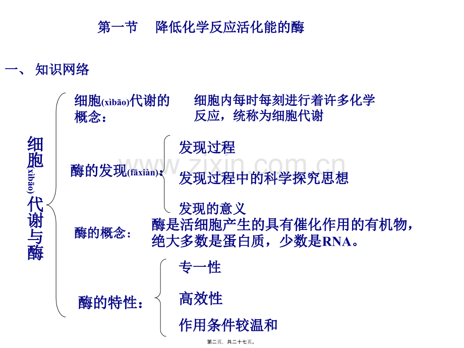 第五章细胞的能量供应和利用复习.ppt_第2页