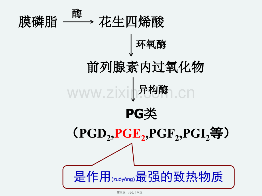 第六章-解热镇痛药及非甾体抗炎药.ppt_第3页