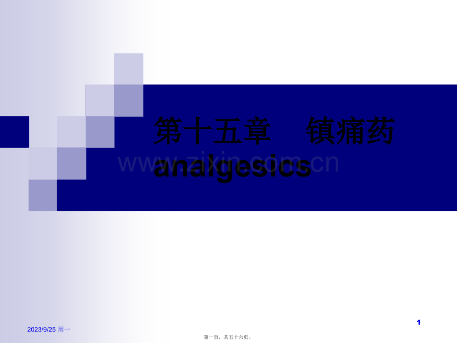 学术讨论—第十五节----镇痛药analgesics-1.ppt_第1页