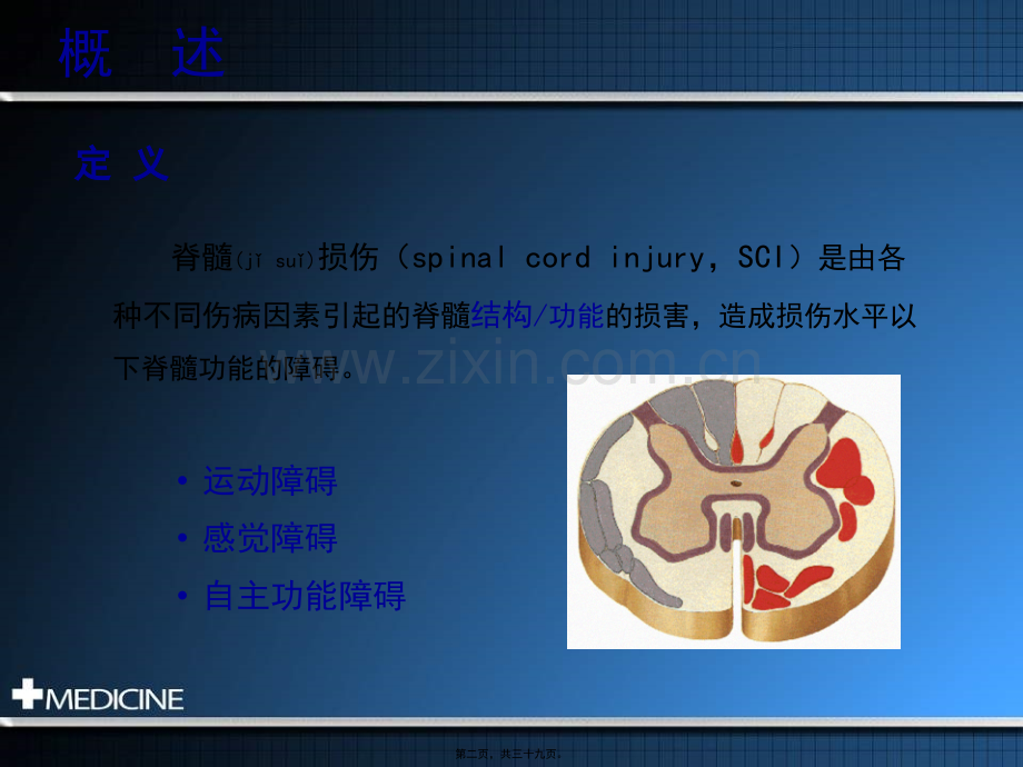 第三节脊髓损伤的康复.ppt_第2页