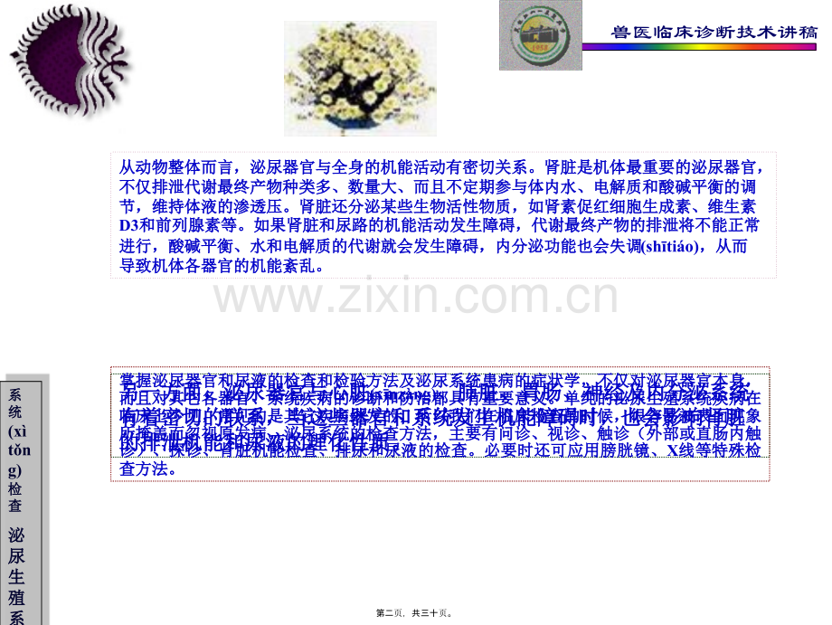 第六章泌尿生殖系统的检查教程.ppt_第2页