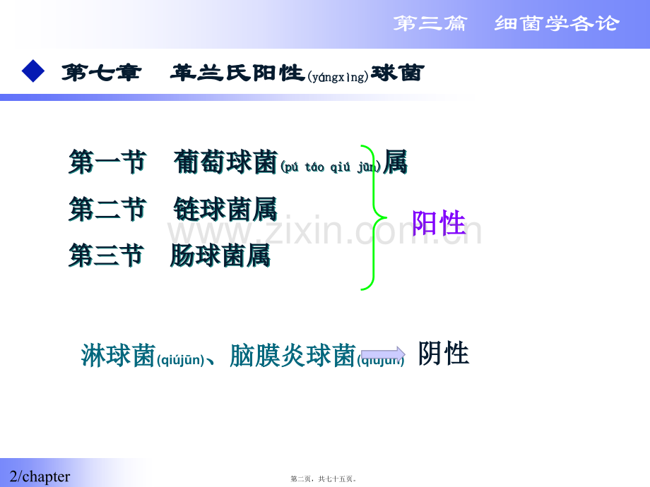 第二篇-细菌学各论.ppt_第2页