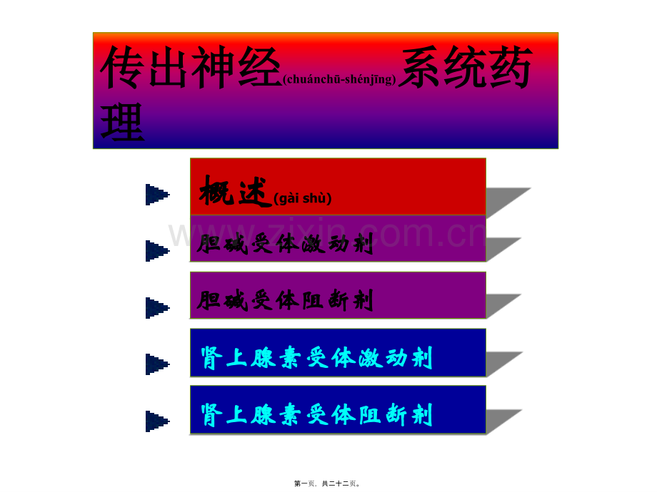 学术讨论—第六章传出神经系统概述.ppt_第1页