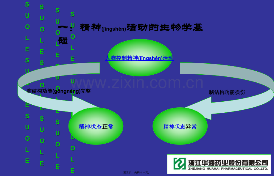 精神科基础知识.ppt_第3页