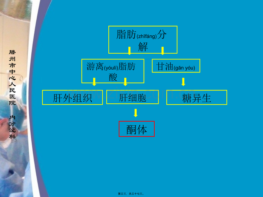 糖尿病酮症酸中毒1.ppt_第3页