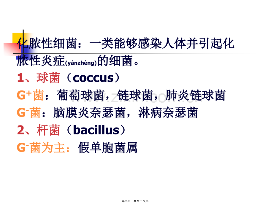 第十五章化脓性细菌.ppt_第2页