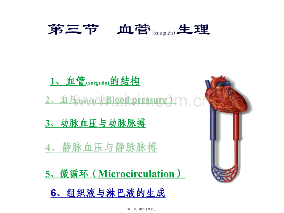 第三章-第二节-血管的生理.ppt_第1页