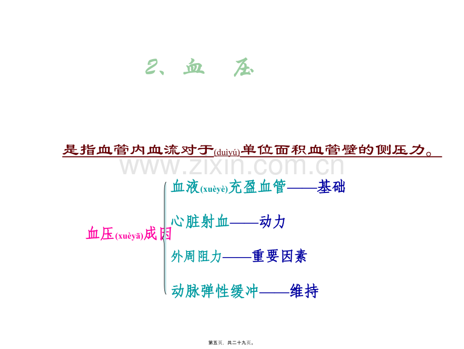 第三章-第二节-血管的生理.ppt_第2页