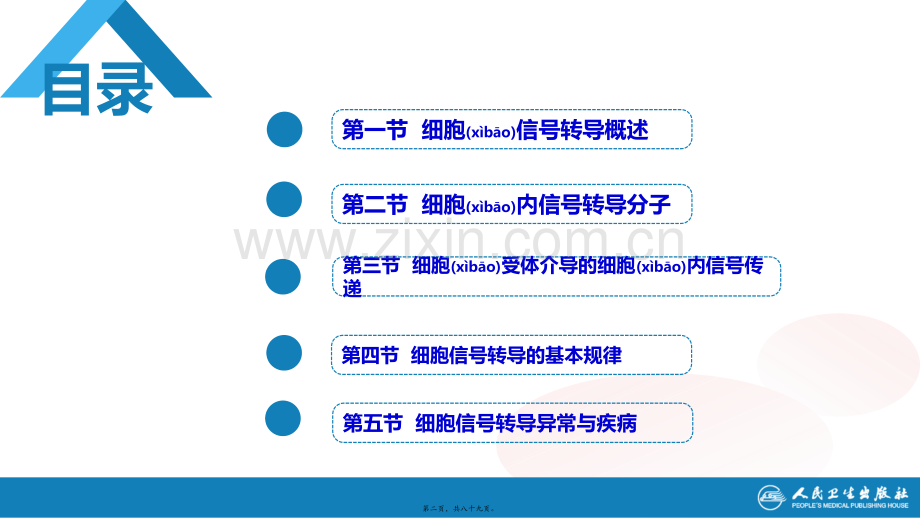 第十七章--细胞信号转导的分子机制.ppt_第2页