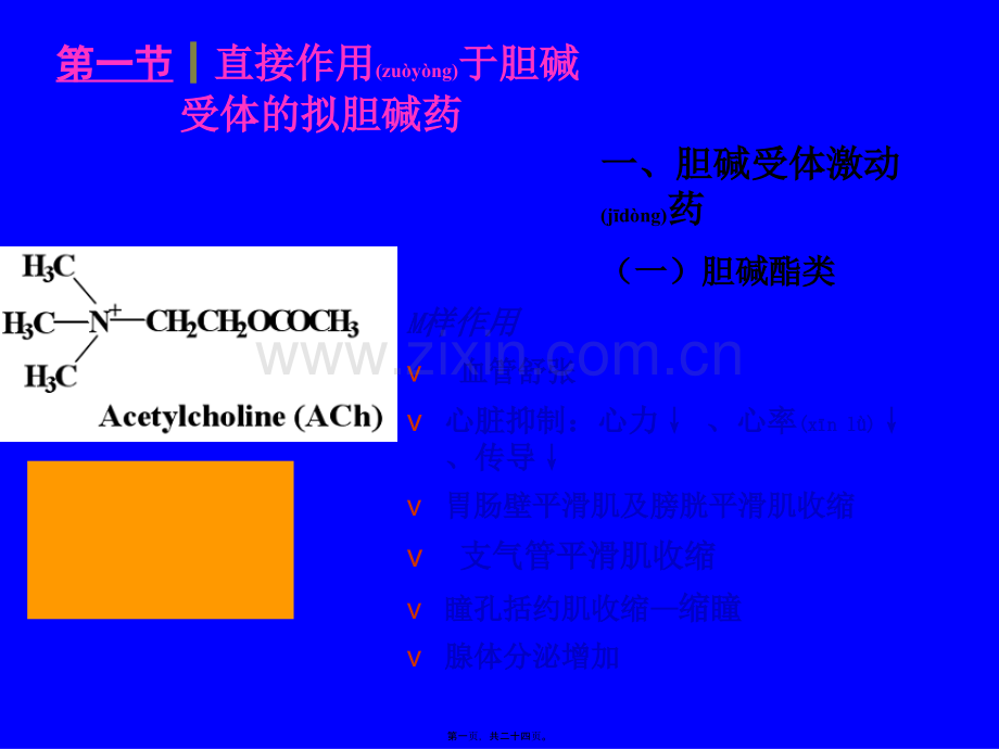 第六章-胆碱受体激动药和作用于胆碱酯酶药.ppt_第1页