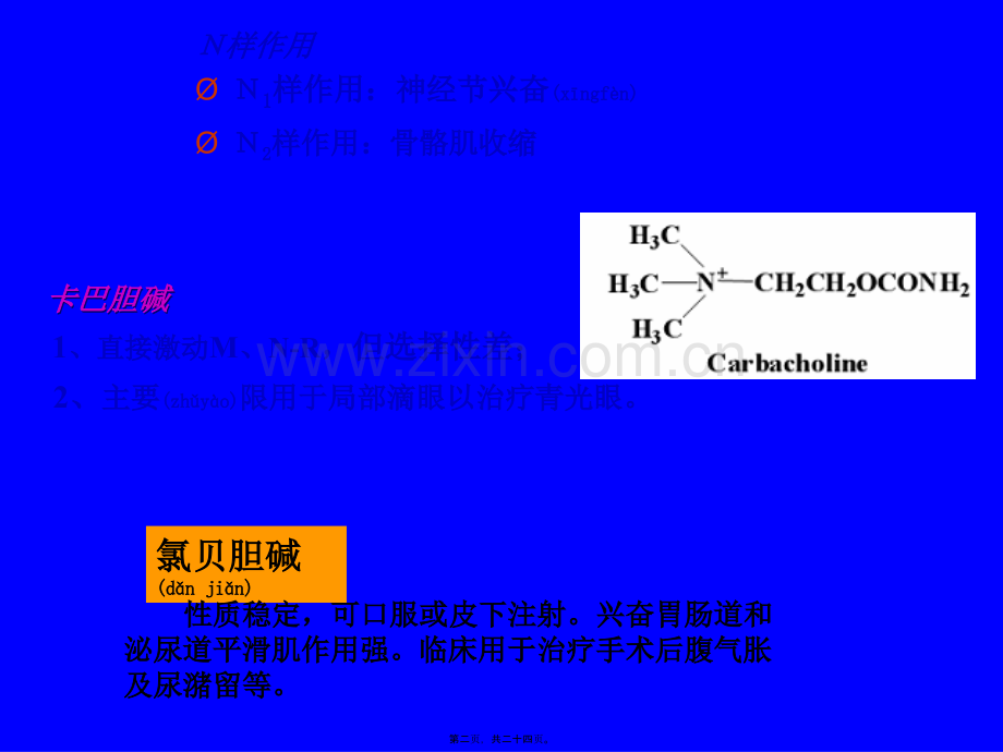 第六章-胆碱受体激动药和作用于胆碱酯酶药.ppt_第2页